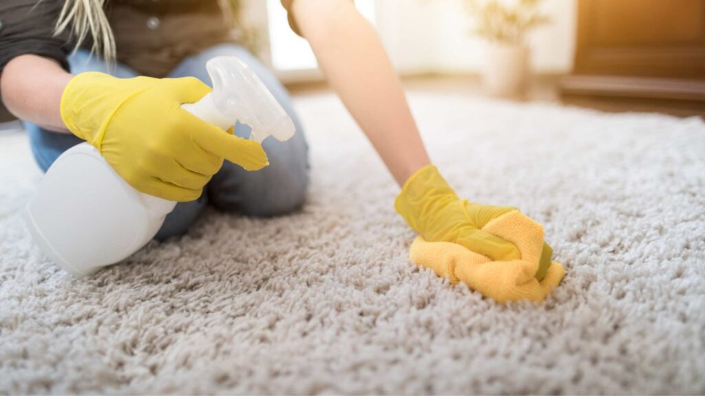 Void Warranty Carpet cleaning