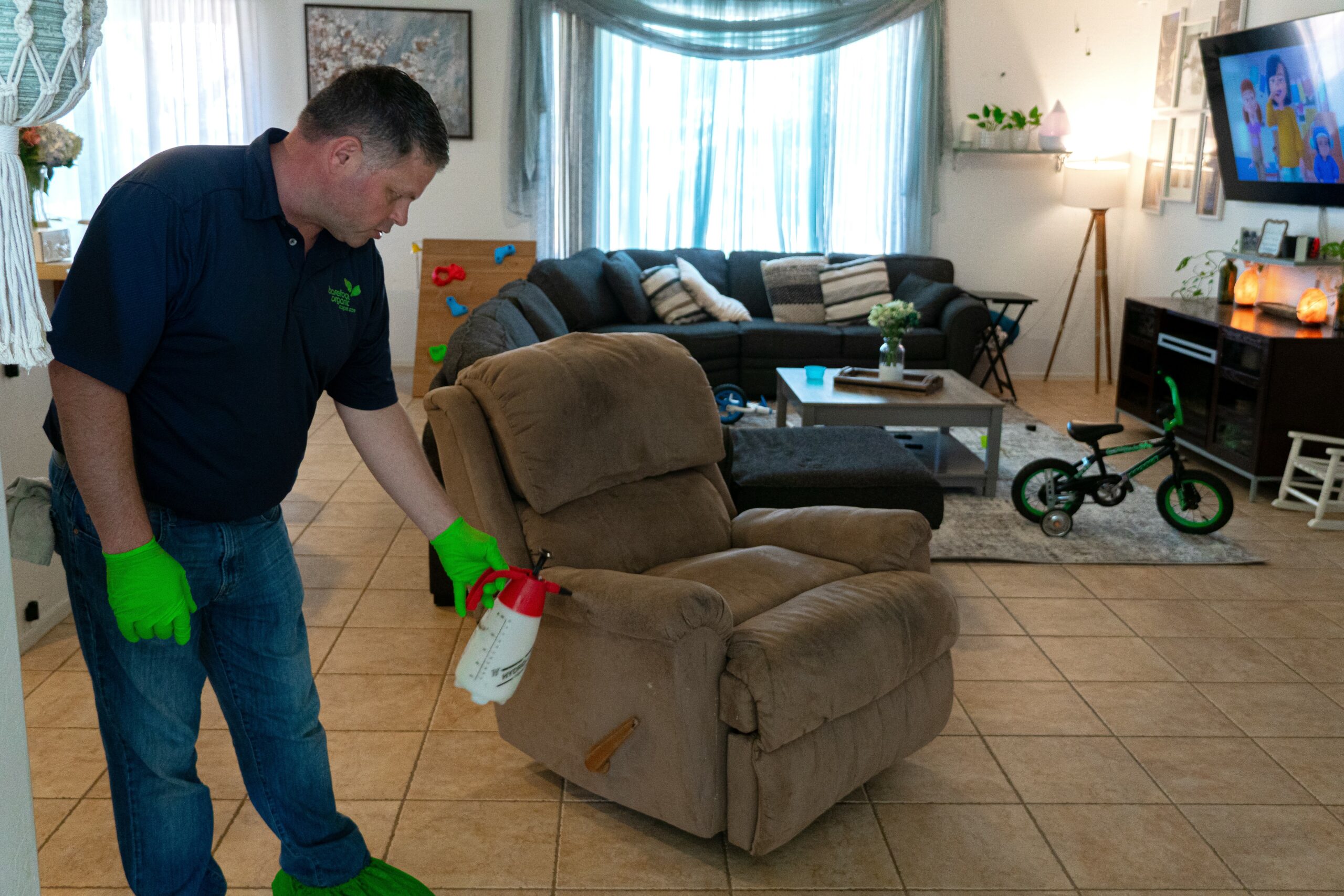 Chemical free Upholstery cleaning Phoenix valley